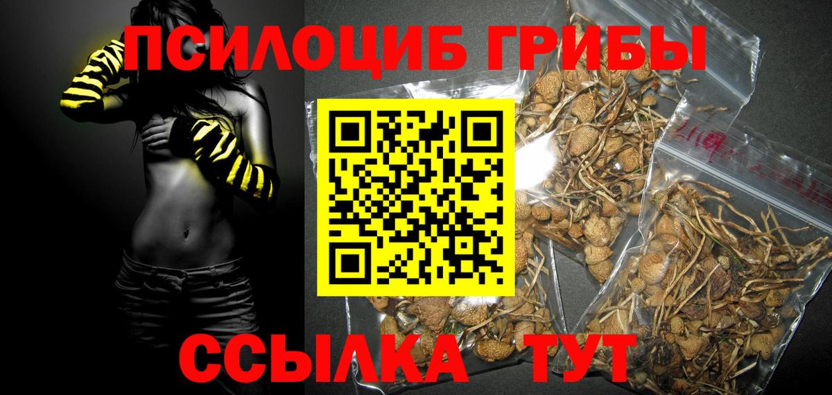 Баксан  Галлюциногенные грибы Cubensis  Вход с VPN  Галлюциногенные грибы ЛСД 