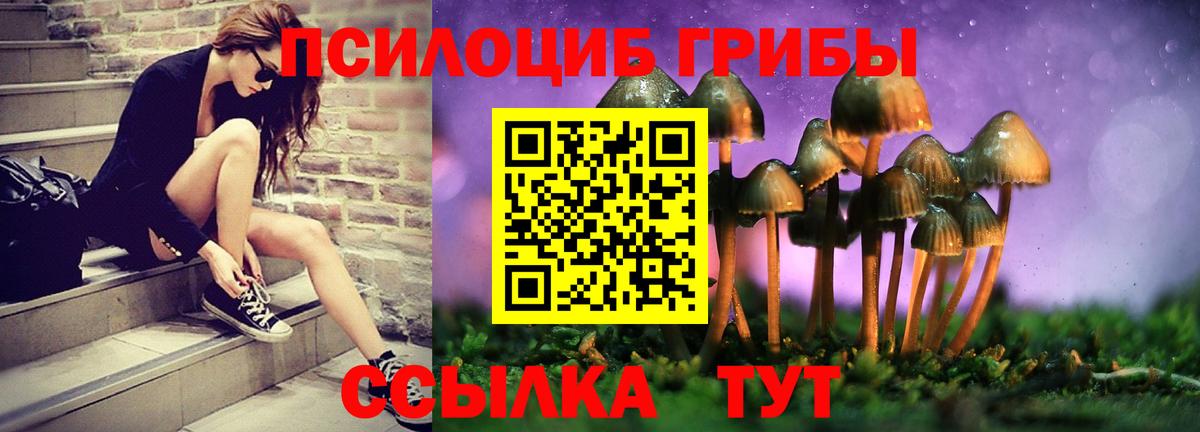 Галлюциногенные грибы GOLDEN TEACHER Баксан