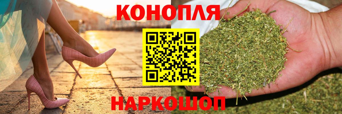 Конопля марихуана Баксан
